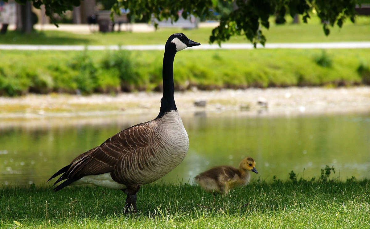 ������ ����� ����� �������  �� PhotoGeek.ru #�������� ���