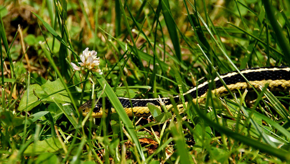 ��������� ������� ����� �������  �� PhotoGeek.ru #�������� ���