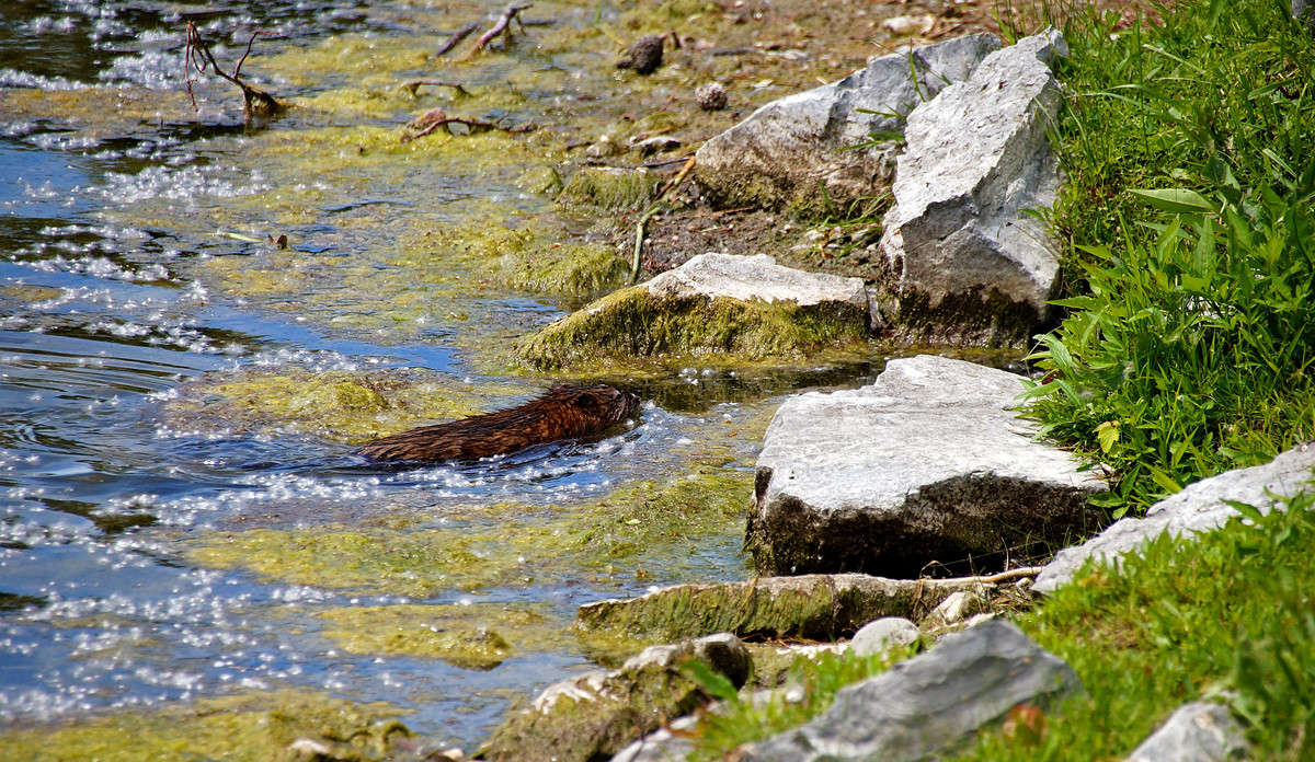 ������ �������� ����� �������  �� PhotoGeek.ru #�������� ���