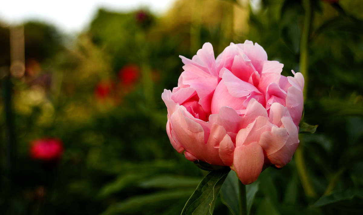 � ������ �������� ����� �������  �� PhotoGeek.ru #������ ��� �������