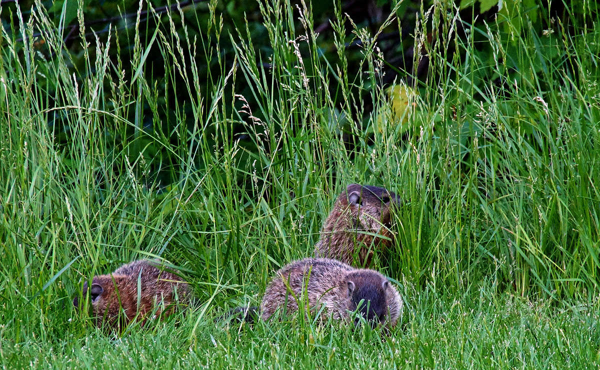 ��������� �� ��� �������� ����� �������  �� PhotoGeek.ru #�������� ���