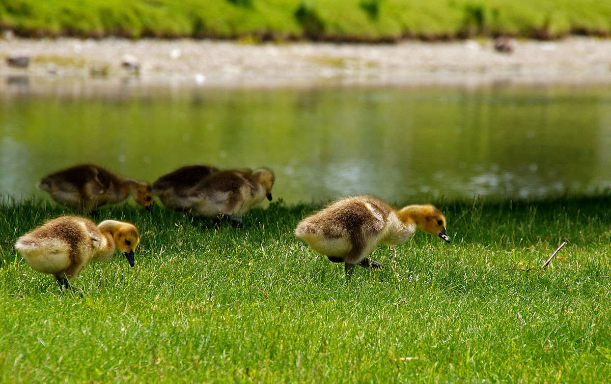 ����������� ������� ����� �������  �� PhotoGeek.ru #�������� ���