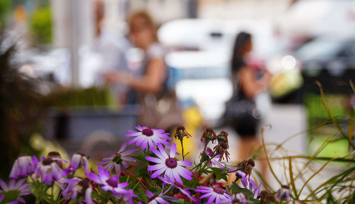 ������� ����� �������  �� PhotoGeek.ru #�����