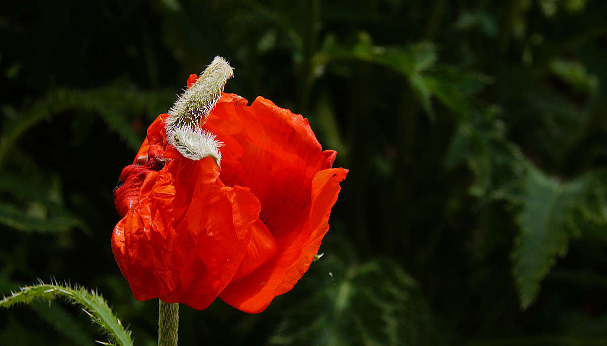 C �������� �������� ����� �������  �� PhotoGeek.ru #������ ��� �������