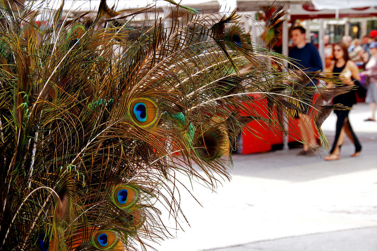 �������, ��������? ����� �������  �� PhotoGeek.ru #�����