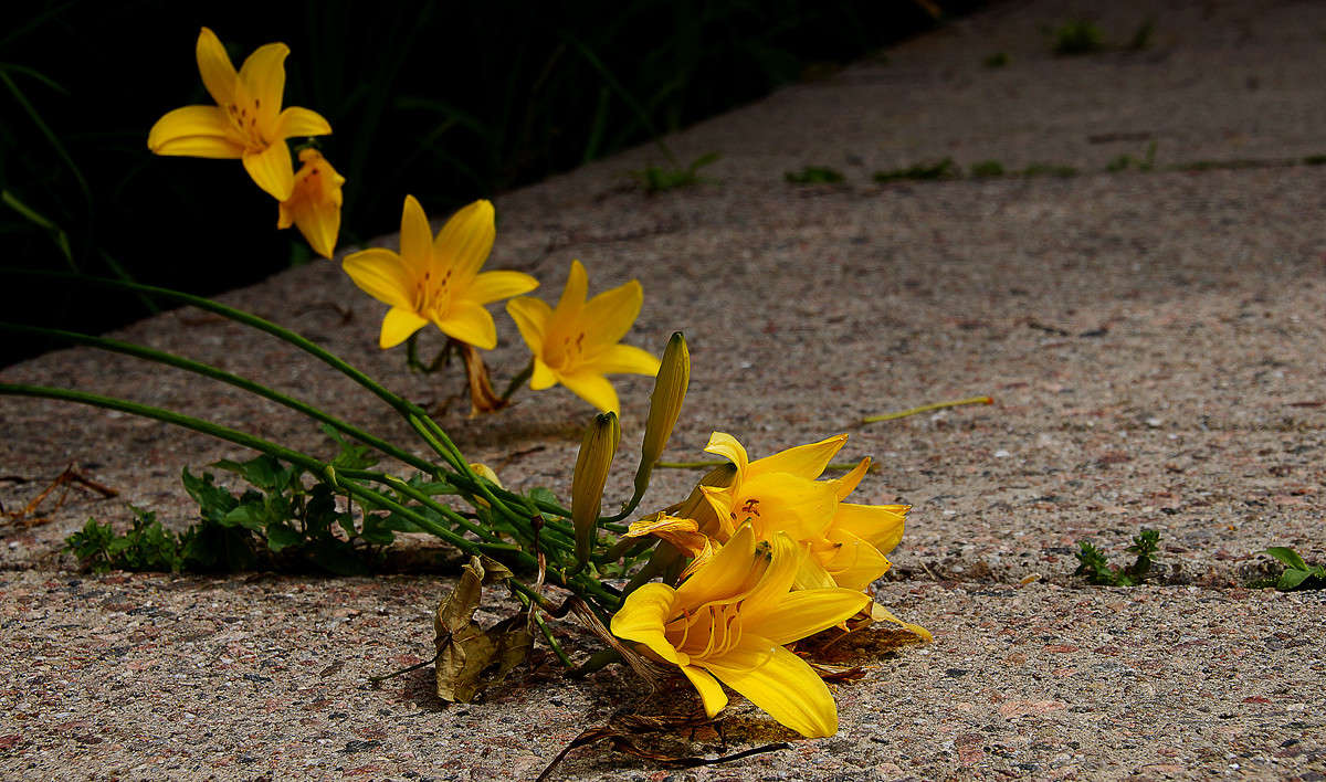 �� ������ ������� �� ������� ��������... ����� �������  �� PhotoGeek.ru #�����