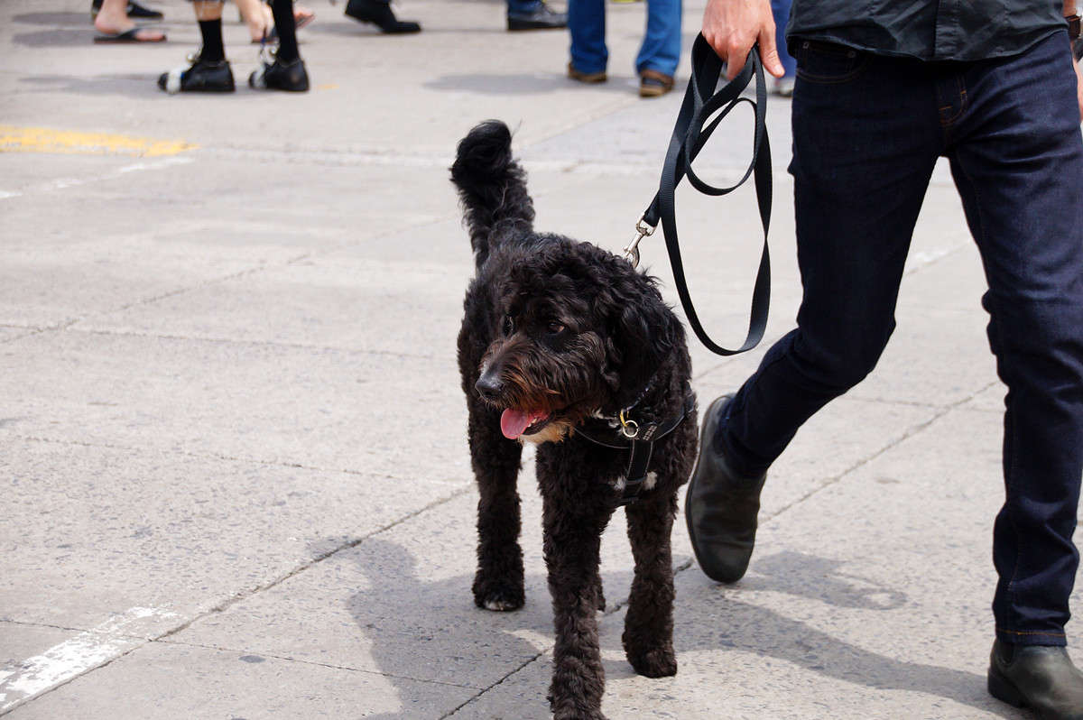 �� ��������! ����� �������  �� PhotoGeek.ru #�������� ��� #�������� ����������