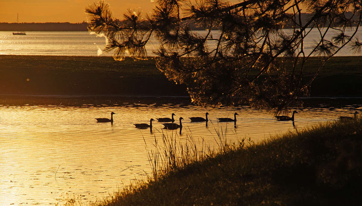 ���� ������� ����� �������  �� PhotoGeek.ru #�������� ���