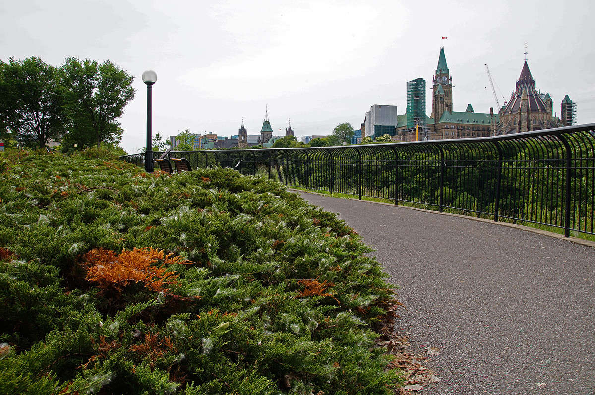 ����� ������������� ����� �������  �� PhotoGeek.ru #�����