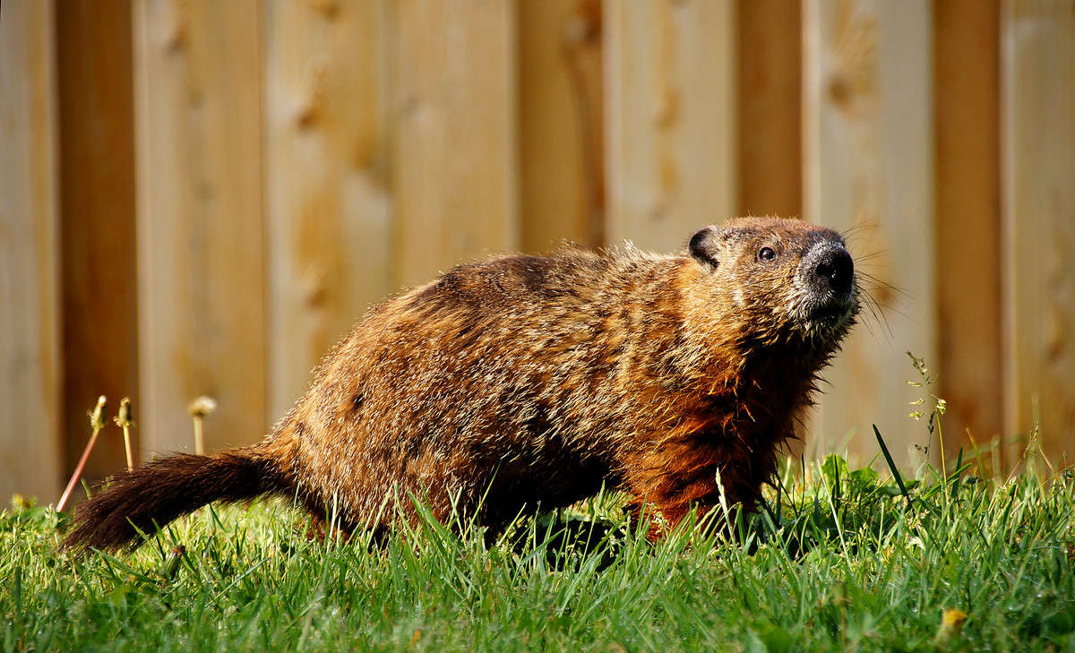 ����������� ����� �������  �� PhotoGeek.ru #�������� ���