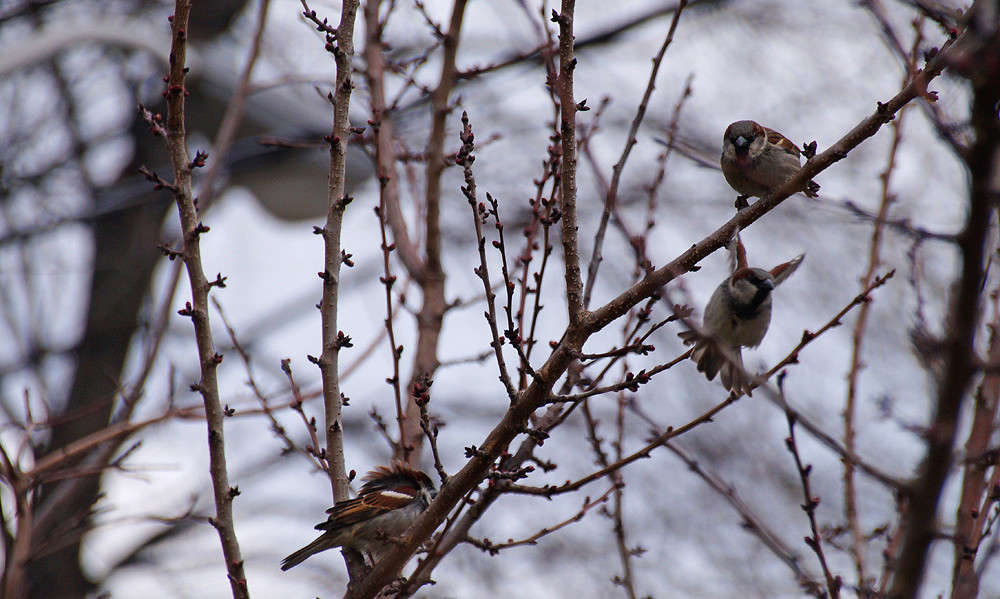 ����� ����� ���������� ����� �������  �� PhotoGeek.ru #�������� ���