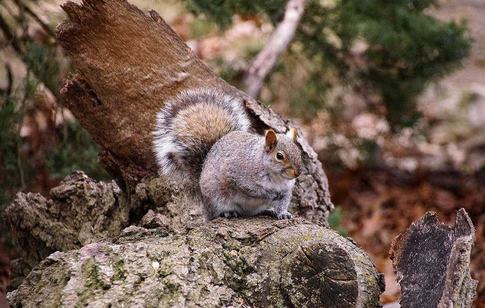 ����� �� ����� � ���� ����� �������  �� PhotoGeek.ru #�������� ���