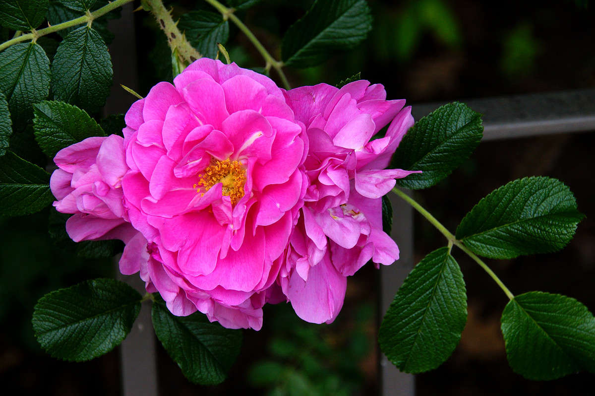 ������������ ����� �������  �� PhotoGeek.ru #������ ��� �������