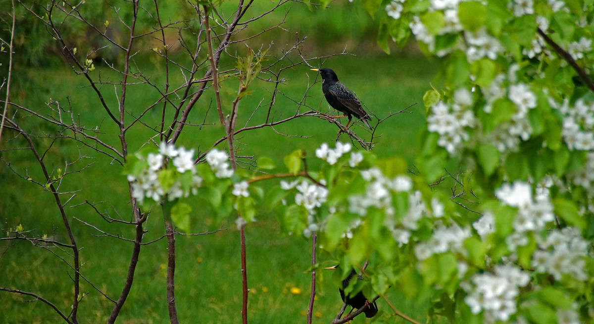 ��� ����� ����� ����� �������  �� PhotoGeek.ru #�������� ���