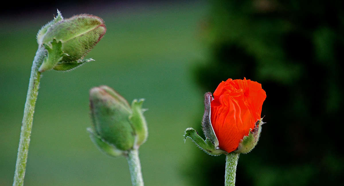 ����� � ����� ����� �������  �� PhotoGeek.ru #������ ��� �������