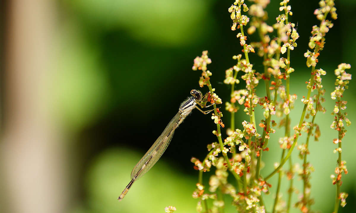 ��������� ������� ����� �������  �� PhotoGeek.ru #�������� ��� #������ ��� �������