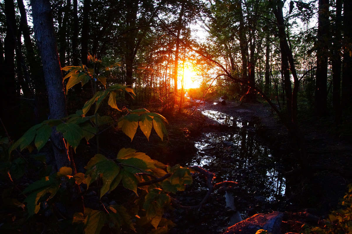 �������� ������� ����� �������  �� PhotoGeek.ru #������ ��� �������
