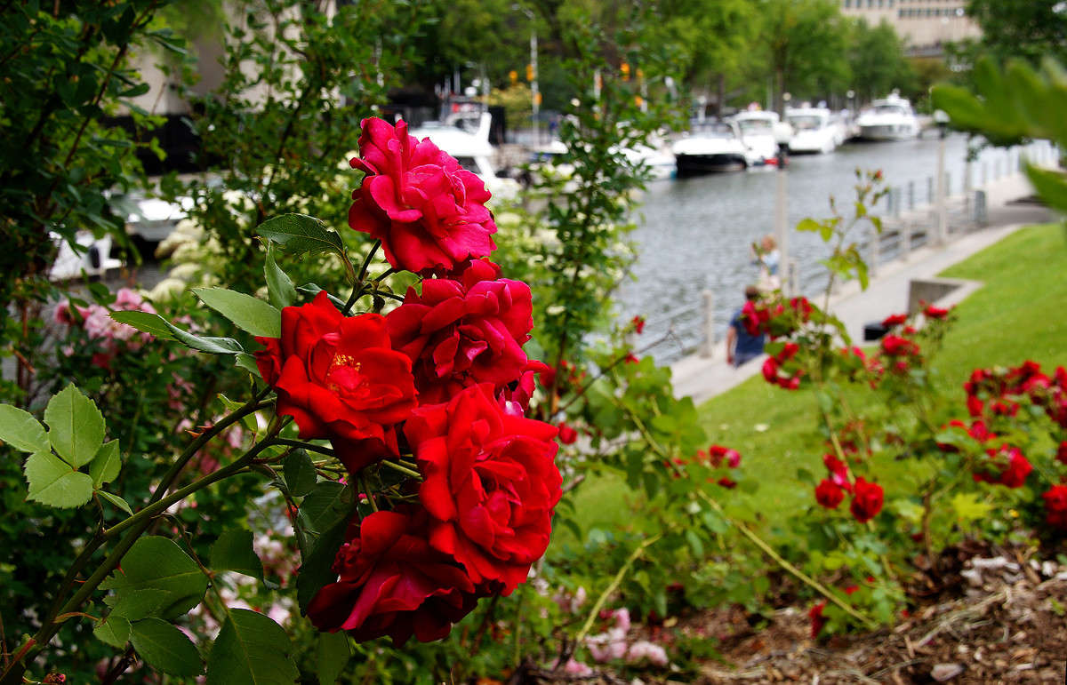 ������� ������ ����� �������  �� PhotoGeek.ru #�����