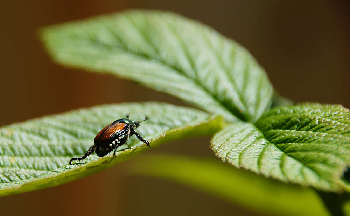 ��� ����� ��� �� ��������? ����� �������  �� PhotoGeek.ru #�������� ���