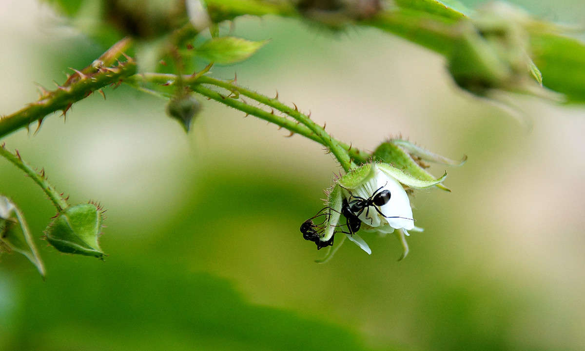 ����������� ����� �������  �� PhotoGeek.ru #�������� ���