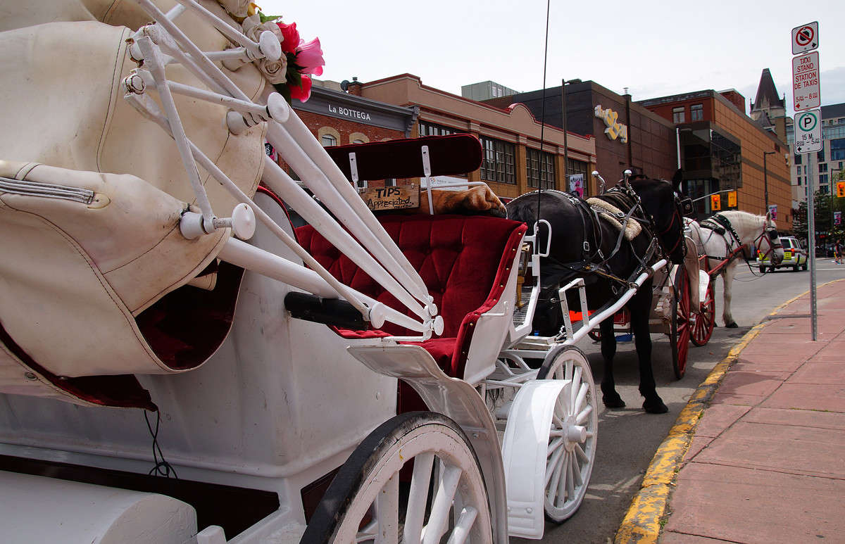 ���������� ��������� ����� �������  �� PhotoGeek.ru #�����