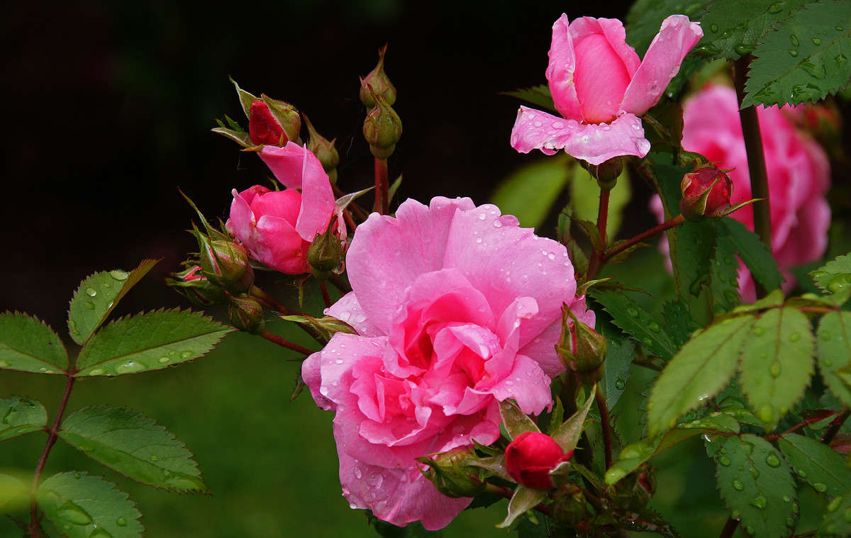������ � ������� ����� �������  �� PhotoGeek.ru #������ ��� �������
