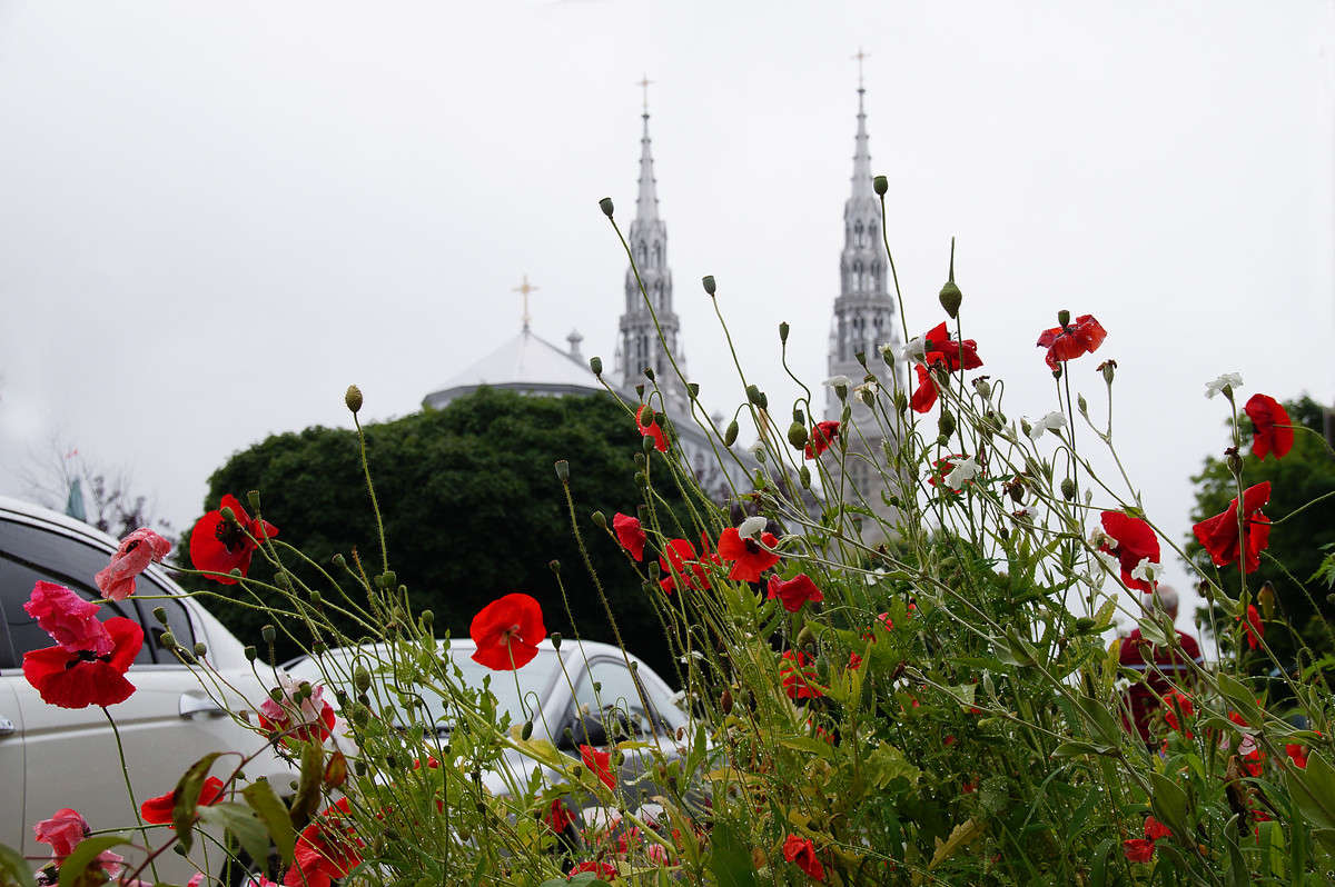 ������� ����������� ����� �������  �� PhotoGeek.ru #�����