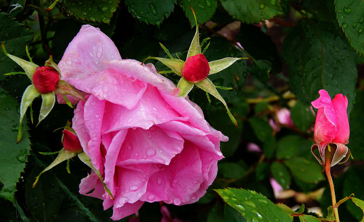 ����������� ����� �������  �� PhotoGeek.ru #������ ��� �������
