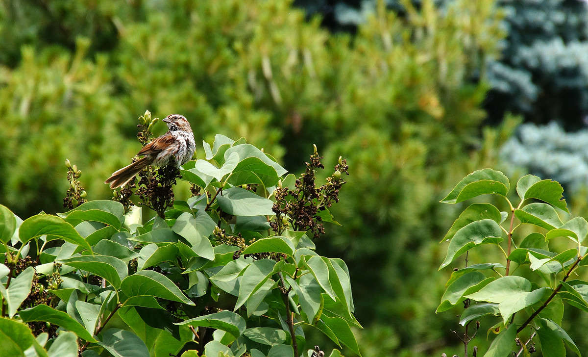 �������� ������� ����� �������  �� PhotoGeek.ru #�������� ���