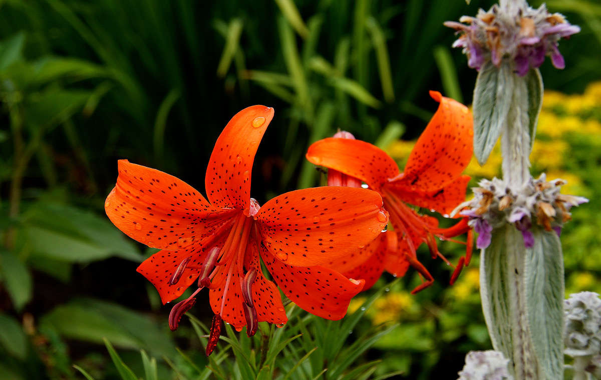 ��������� ����� �������  �� PhotoGeek.ru #������ ��� �������