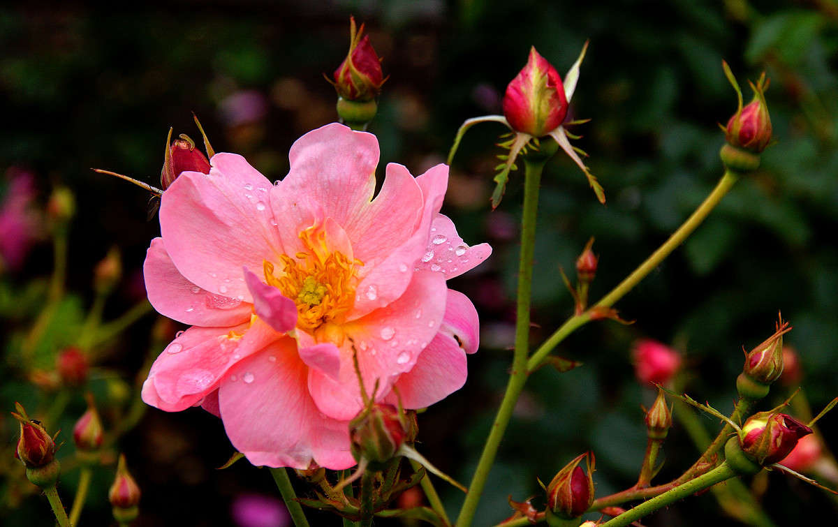 ��������� ����� �������  �� PhotoGeek.ru #������ ��� �������