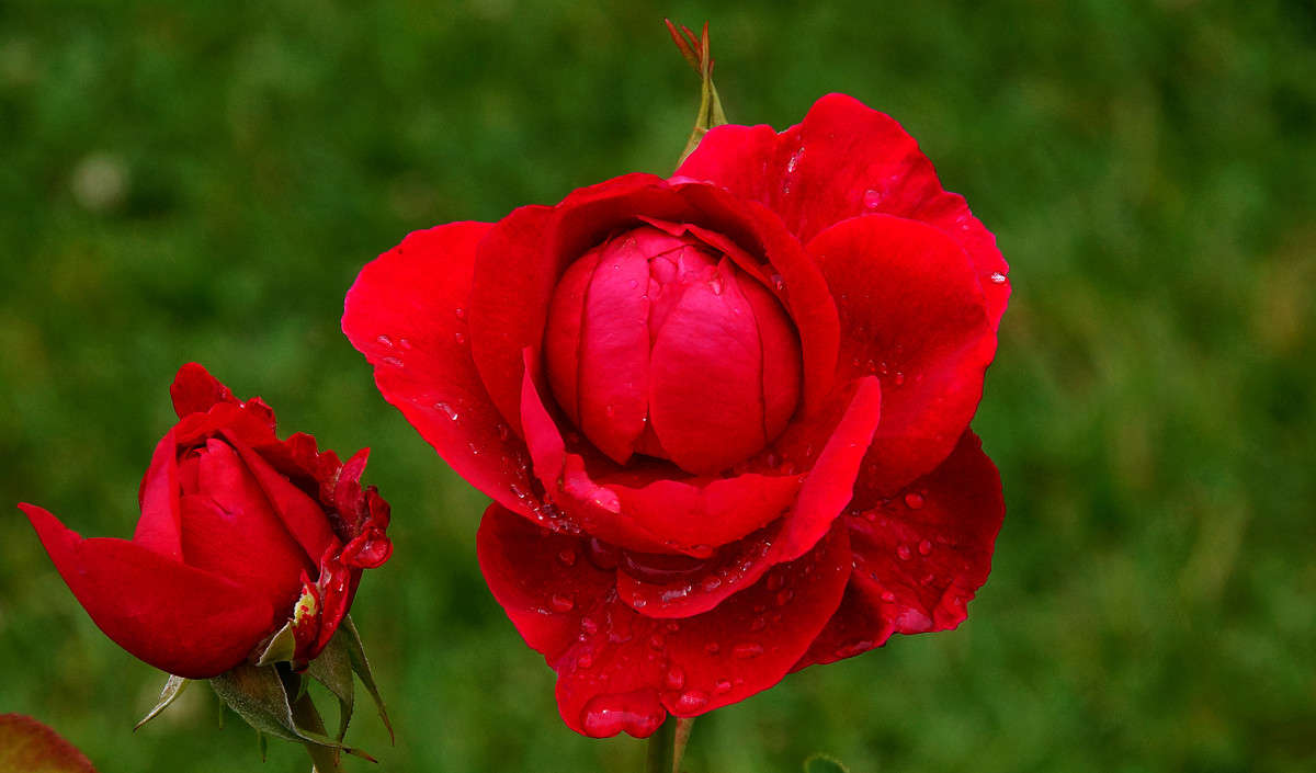 �������������� ����� �������  �� PhotoGeek.ru #������ ��� �������