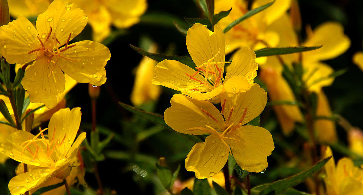 ������� ����� �������  �� PhotoGeek.ru #������ ��� �������