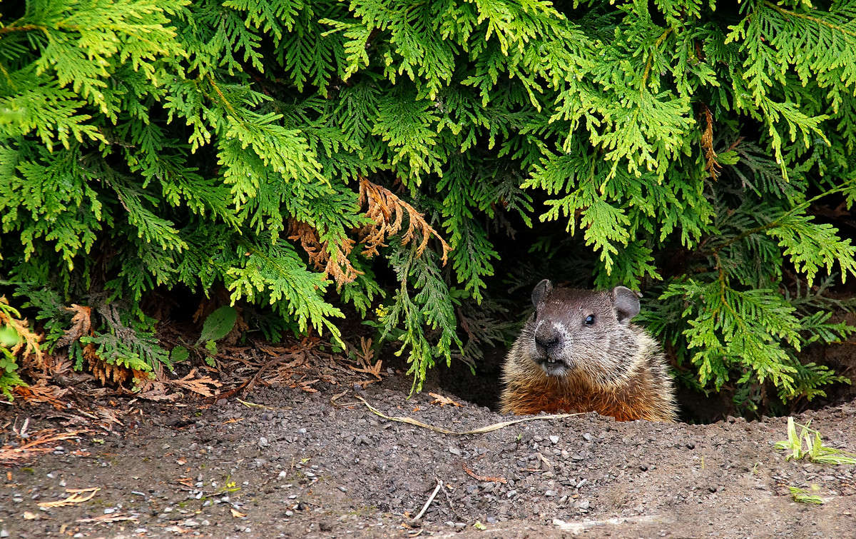 ����� ���������� � �����! ����� �������  �� PhotoGeek.ru #�������� ���