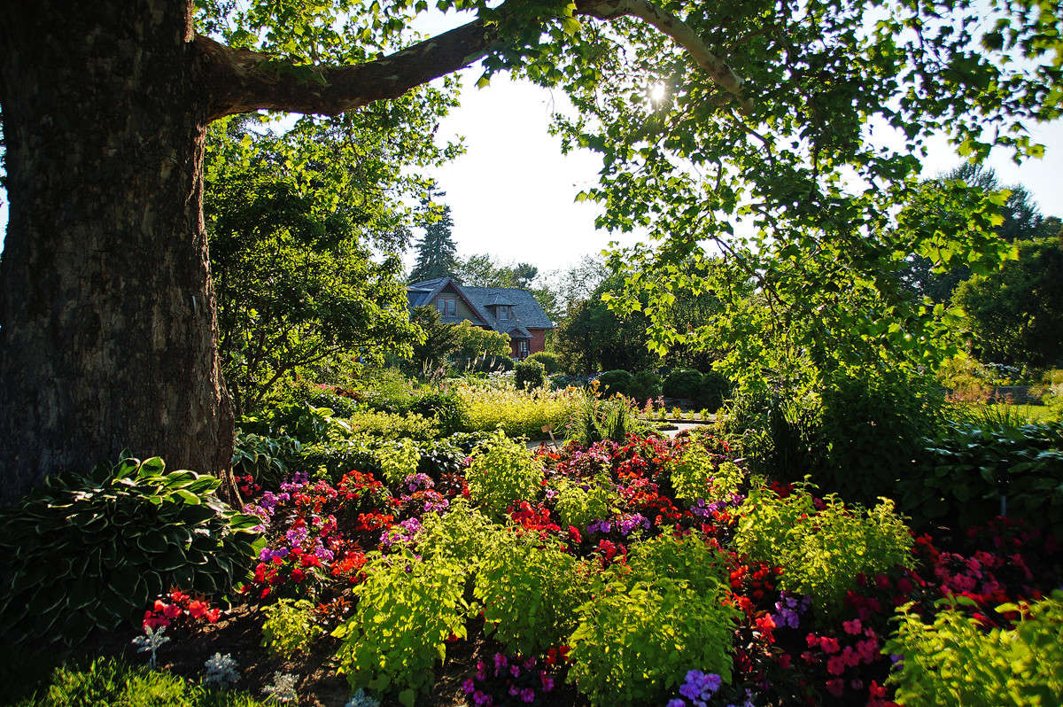 ������ ������� ����� �������  �� PhotoGeek.ru #�����