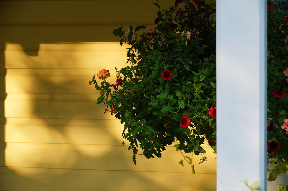 ����� ���������� � ���� ����� �������  �� PhotoGeek.ru #�����