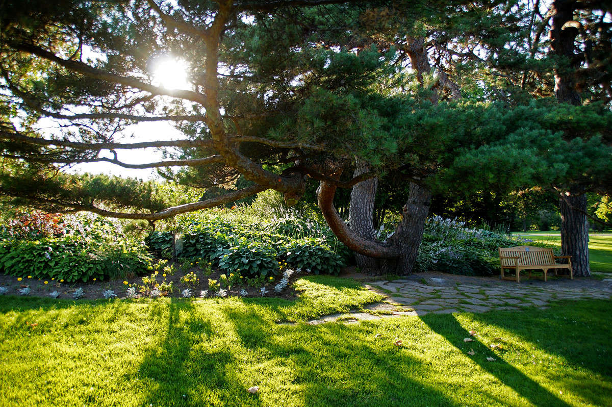 �������� ������� ����� �������  �� PhotoGeek.ru #�����