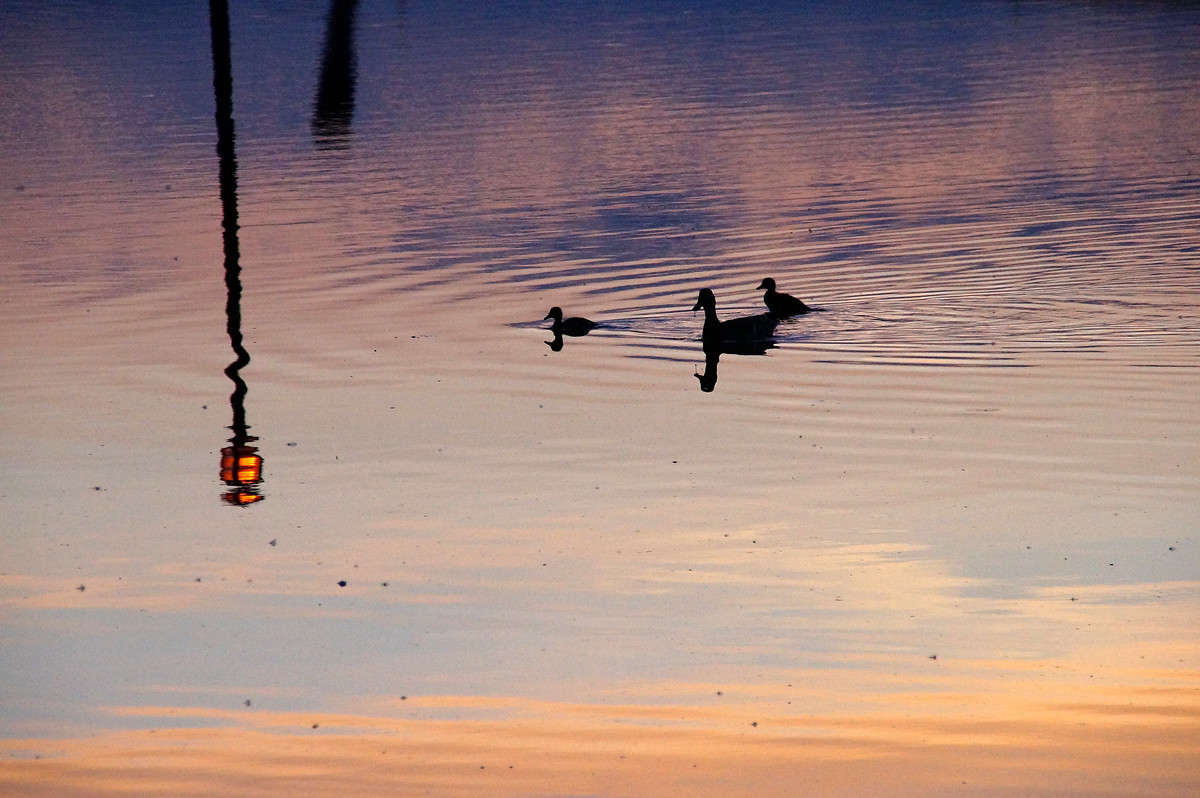 ����� ������ N-��� ����� �������  �� PhotoGeek.ru #�����