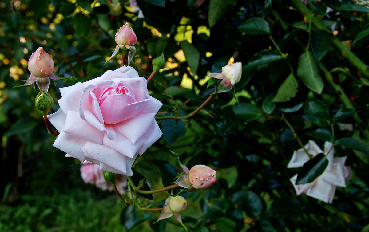 ��������� ����� �������  �� PhotoGeek.ru #������ ��� �������