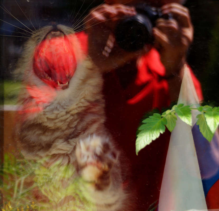 ������� �� ��������! ����� �������  �� PhotoGeek.ru #�������� ���