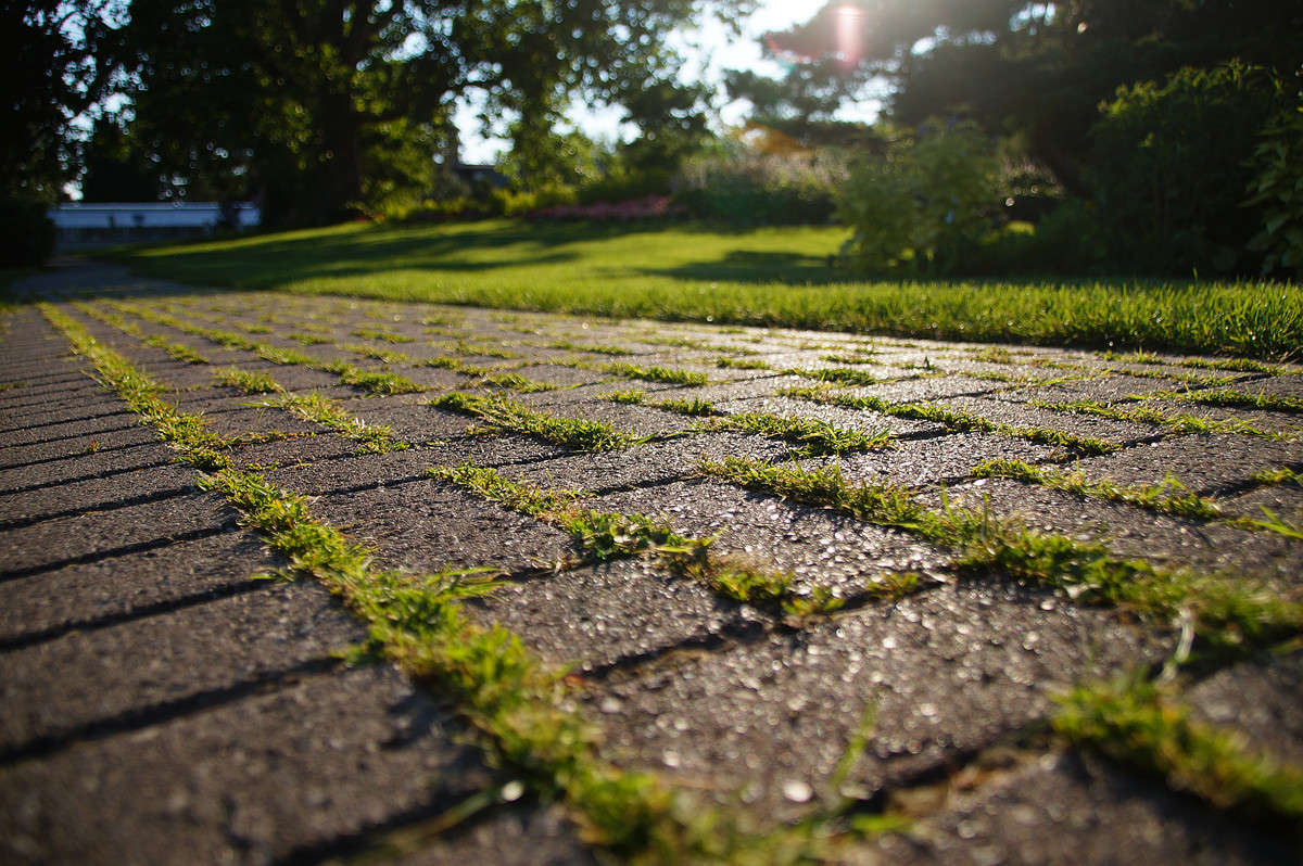 ������ ����� �������  �� PhotoGeek.ru #�����