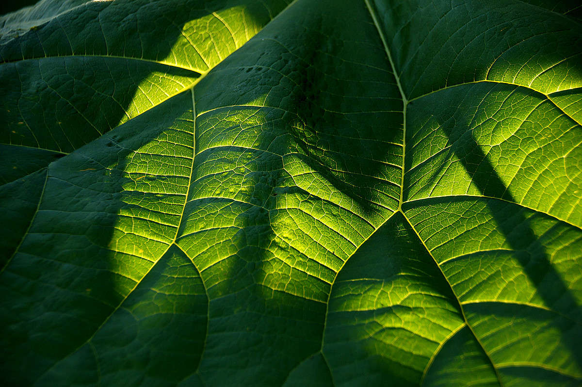 ����������! ����� �������  �� PhotoGeek.ru #������ ��� �������