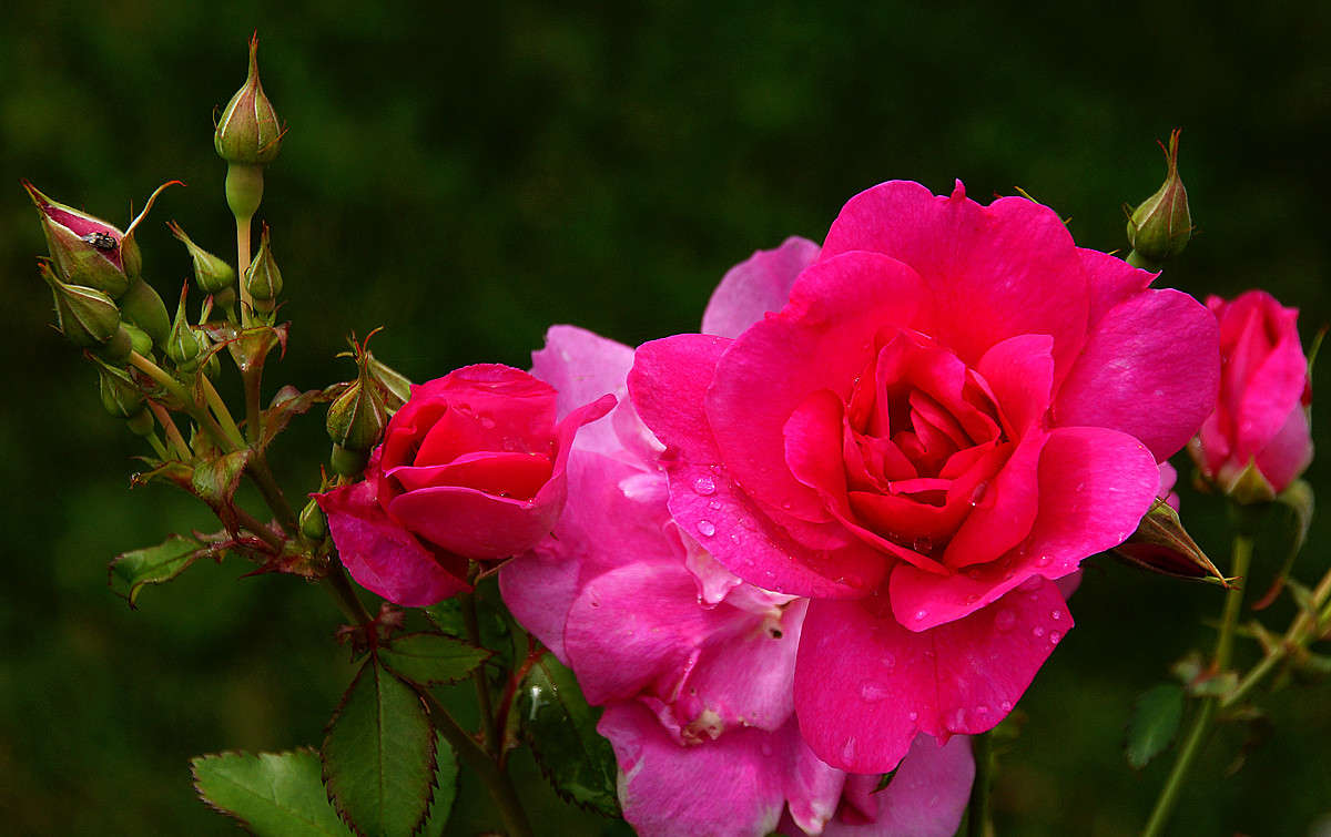 ���� ������� ������� ���� ����� �������  �� PhotoGeek.ru #������ ��� �������