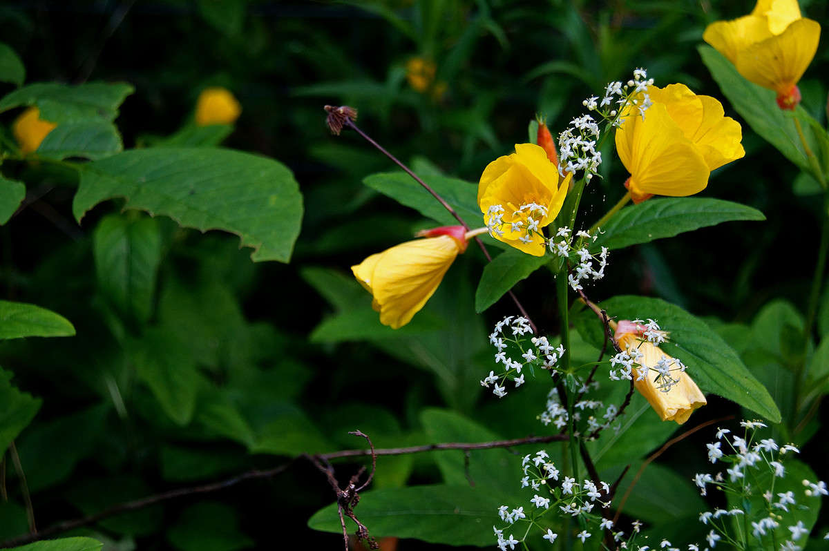 �������. ����� �������  �� PhotoGeek.ru #������ ��� �������