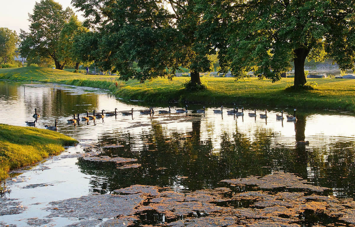 ������� ����� ����� �������  �� PhotoGeek.ru #�������� ���