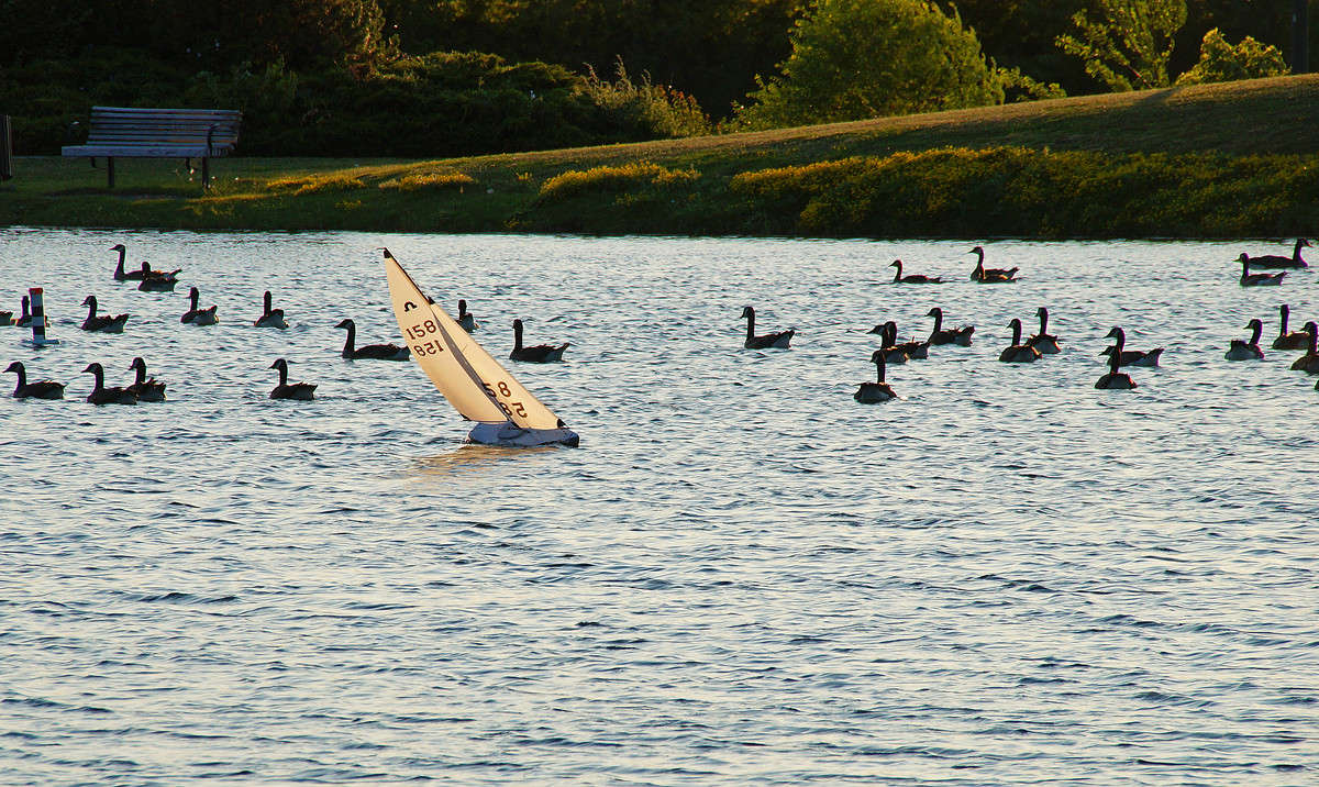������� ����� �������  �� PhotoGeek.ru #�������� ����������