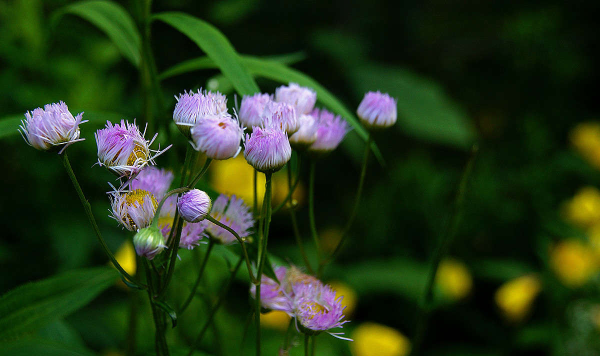 ������������ ����� �������  �� PhotoGeek.ru #������ ��� �������