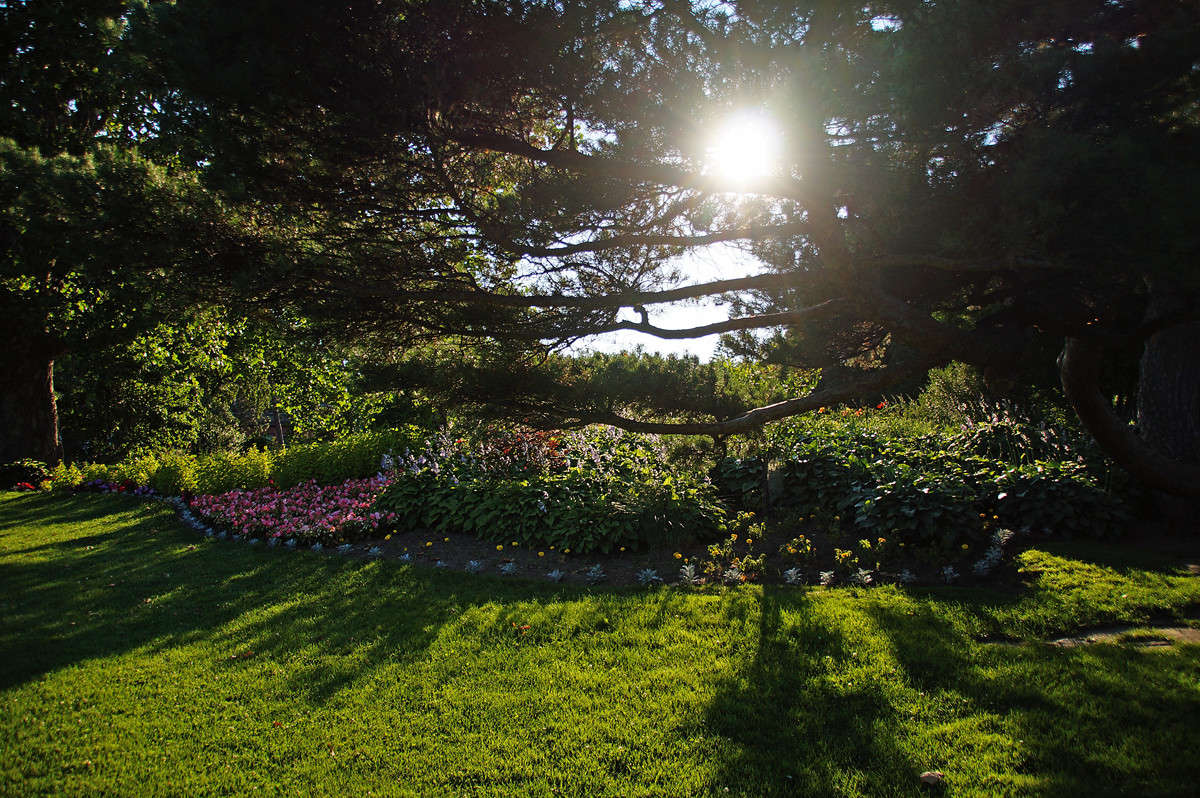 ������ ���� � ������ ����� �������  �� PhotoGeek.ru #�����