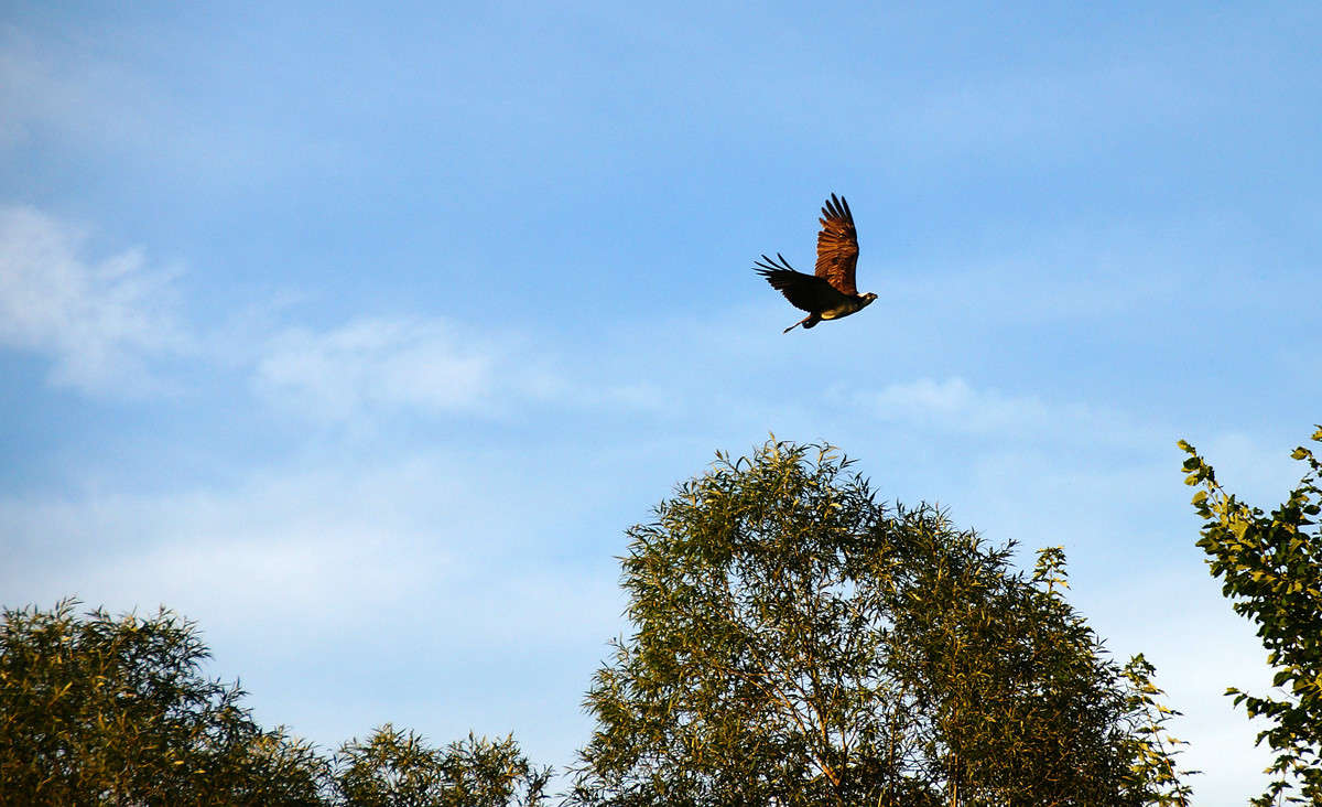 ��������� ����� �������  �� PhotoGeek.ru #�������� ���