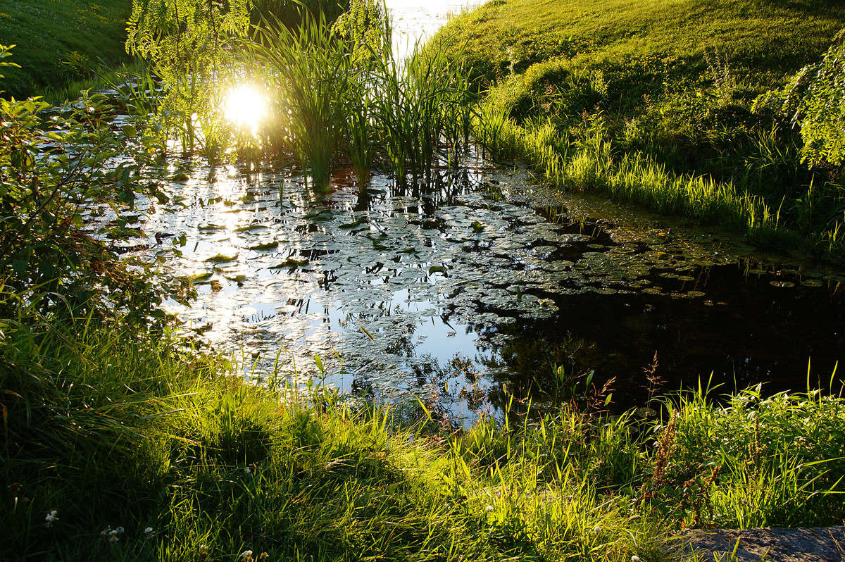 ��������� ��� ������� ����� �������  �� PhotoGeek.ru #������ ��� �������